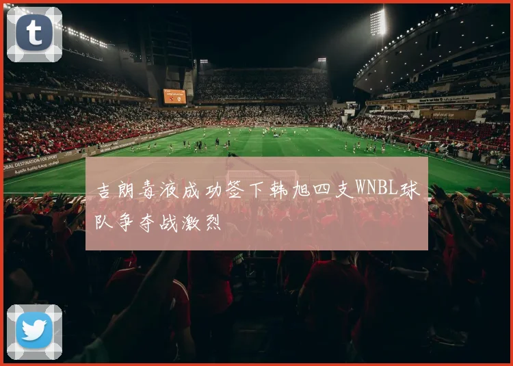 吉朗毒液成功签下韩旭四支WNBL球队争夺战激烈