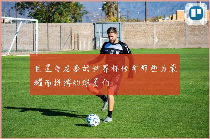 巨星与龙套的世界杯传奇那些为荣耀而拼搏的球员们