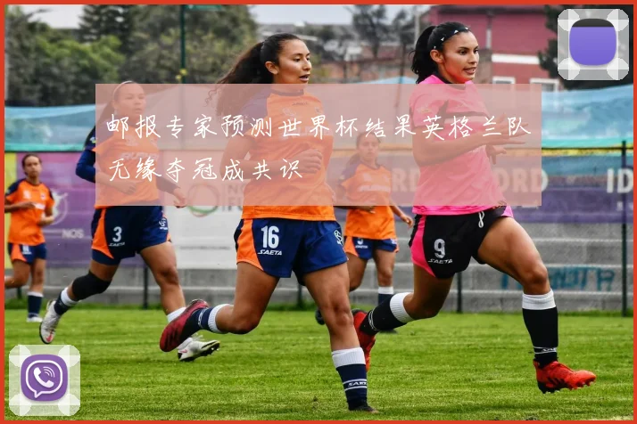 邮报专家预测世界杯结果英格兰队无缘夺冠成共识
