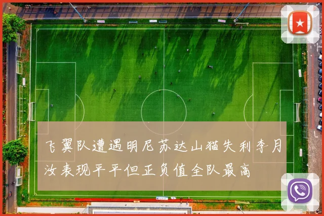 飞翼队遭遇明尼苏达山猫失利李月汝表现平平但正负值全队最高